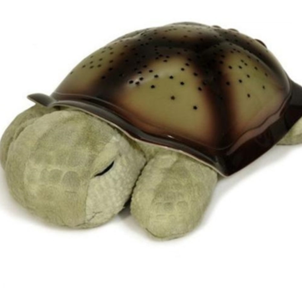 Turtle Nightlight